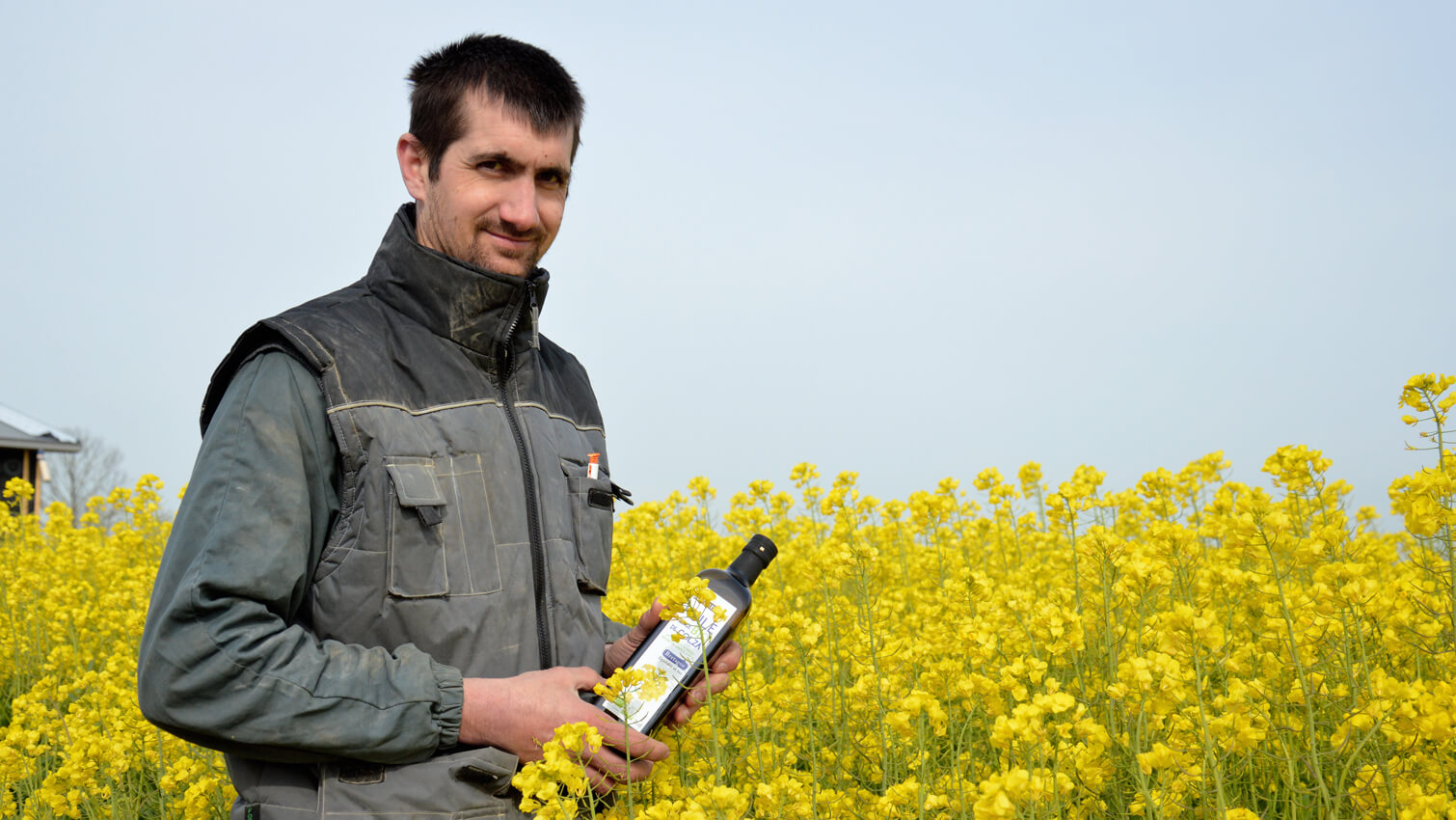 Les Greniers Bio d'Armorique producteur colza bio